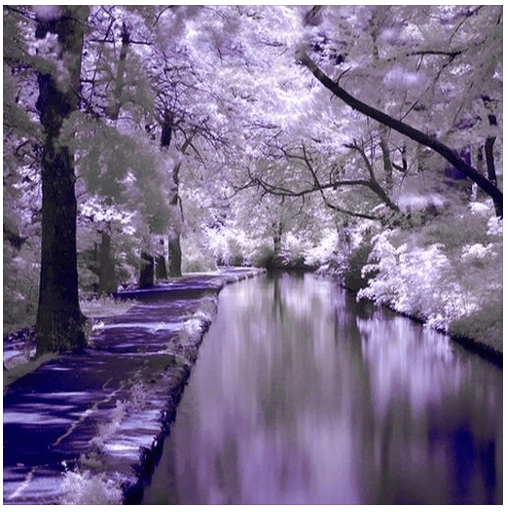 Living Waters in God's Garden - Rebecca Alderman Inspiration